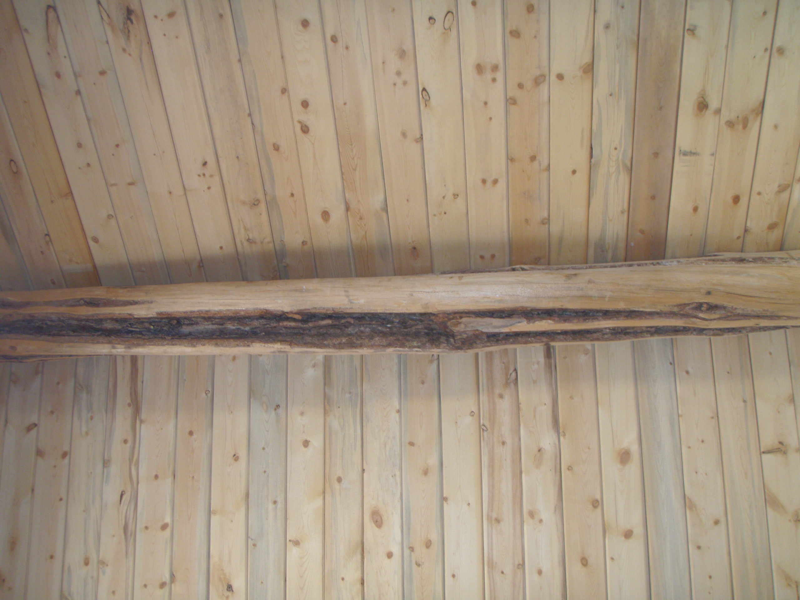 Tongue and Groove ceiling