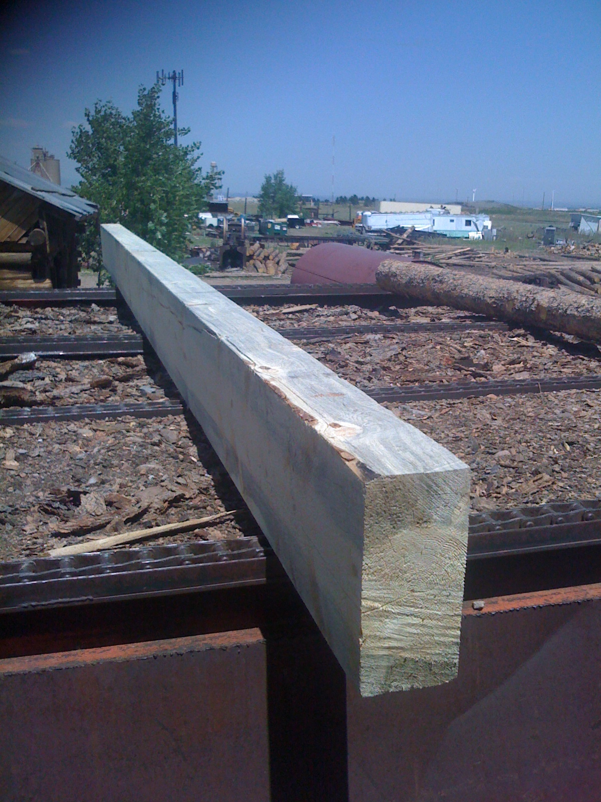 Fresh cut timber